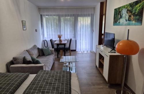 Sasbachwalden Apartamento | Wasserfälle Apartments