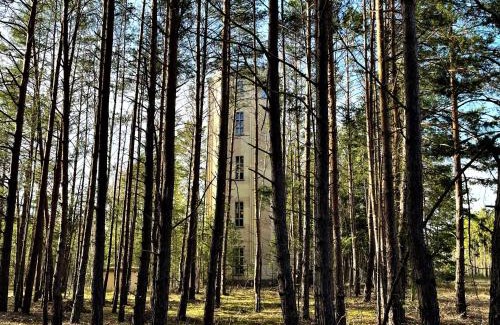 Spreetal Casa | Wasserturm Spreewitz