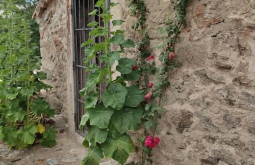 Lozoya Casa | Molino de agua apartado del mundo para desconectar