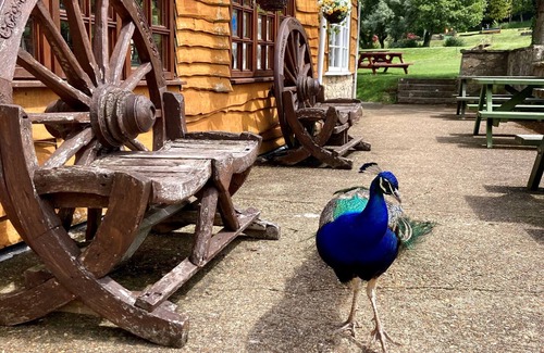 Mottistone Chalet De Esquí | Water Mill Vacations, Goldfinch