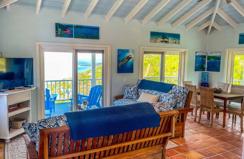 Lower Carolina Villa | Water + Sky - Quaint Caribbean Cottage, Family Friendly, A/C, Hot Tub