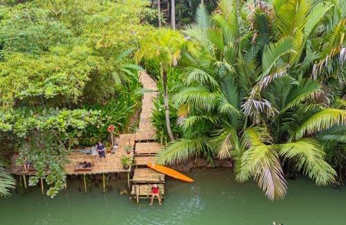 Loboc Cama Y Desayuno | Water to Forest Ecolodge