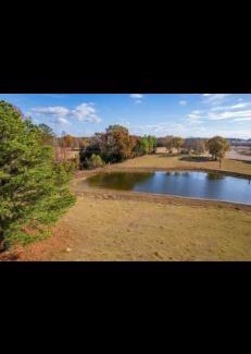 Water Valley Apartamento | water valley, tiny home animal petting exp, fruit trees, fishing pond, stars, camping ect