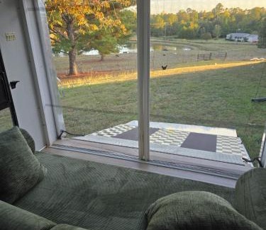 Water Valley Apartamento | water valley, tiny home animal petting exp, fruit trees, fishing pond, stars, camping ect