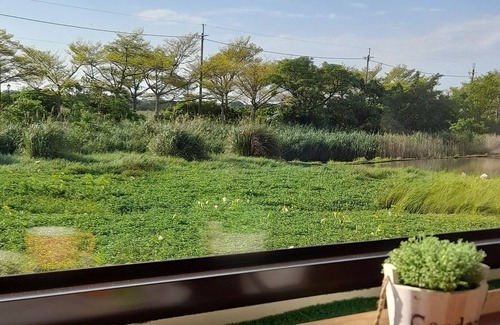 Toucheng Cama Y Desayuno | Waterbirds Family
