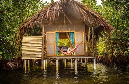 Tierra Oscura Cabina | Waterfront Dolphin Pod - Bocas' best snorkeling!