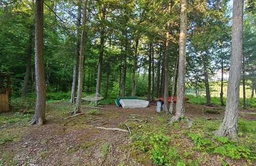Bryant Pond Cabina | Waterfront and Mountain view a HOT TUB, Unlimited KARAOKE and Pet Friendly!