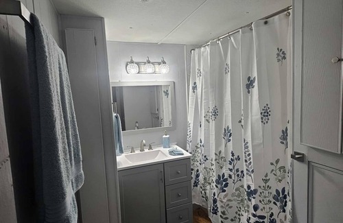 Negreet Cabina | Waterfront Cabin on Toledo Bend Lake - minutes from the water.