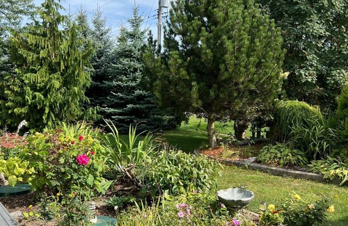 Ashfield-Colborne-Wawanosh Cabaña | Waterfront Cottage/Hotub/Outdoor Shower/private sand beach/2pet/2-14+guests