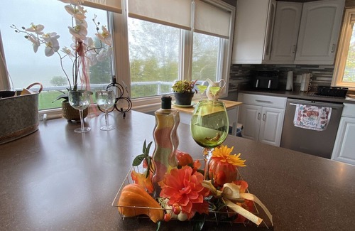 Ashfield-Colborne-Wawanosh Cabaña | Waterfront cottage LakeHuron Hotub/pets/outshower private beach 2-18 people