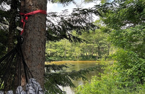 Conway Casa | Waterfront Cottage on the Saco River and 10 minutes to skiing!