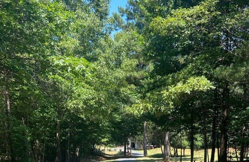 Scotts Casa | Waterfront Paradise on Lake Lookout Shoals