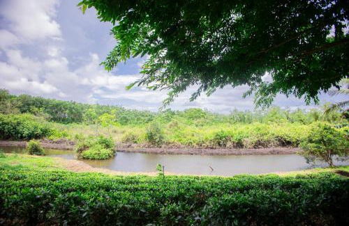 Walallawita Villa | Waters Lodge