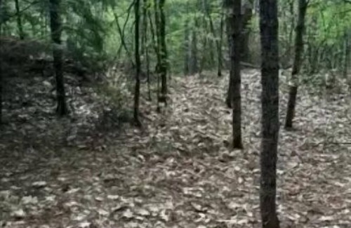 Limerick Alquiler De RV | Watersrock Woods Camp Site 1