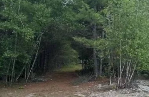 Limerick Alquiler De RV | Watersrock Woods Camp Site 1
