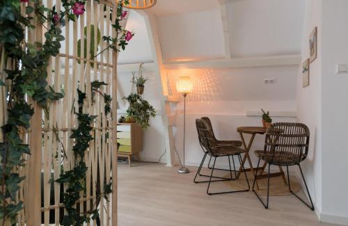 Canal Ring Casa | Way Up Studio