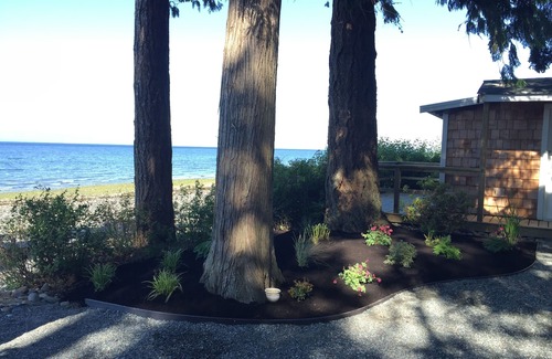 Regional District of Nanaimo Cabaña | Shoregrove Cottage en la playa!