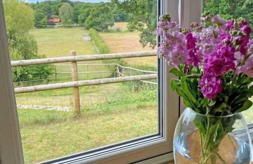 New Forest District Casa | Weavers Lodge