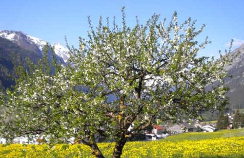 Trins Casa | Weberhof