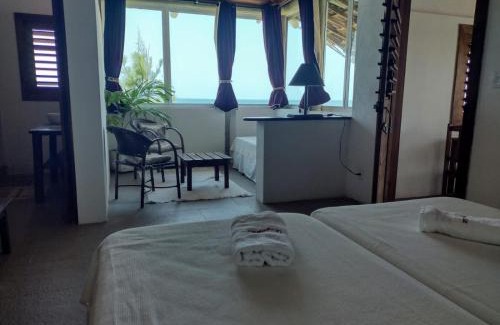 Taiba Casa | WegoKite Stars