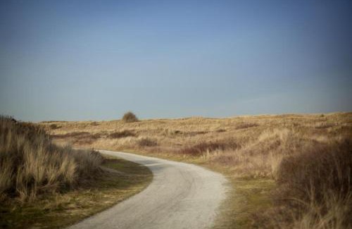 Ameland Apartamento | Weidevilla 14 auf Ameland