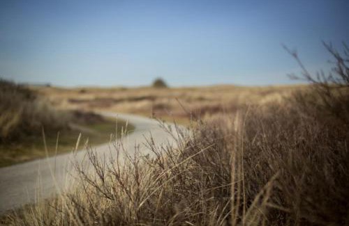 Ameland Apartamento | Weidevilla 14 auf Ameland