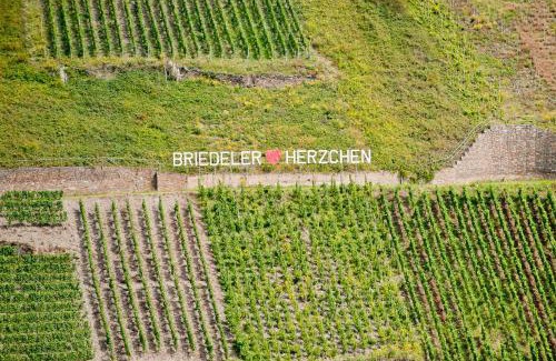 Briedel Casa | Wein- und Sektgut Markus Hensler