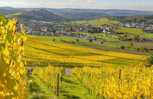 Oberemmel Apartamento | Weingut-Ferienwohnungen Lorenz - nur Urlaubsgäste