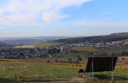 Oberemmel Apartamento | Weingut-Ferienwohnungen Lorenz - nur Urlaubsgäste