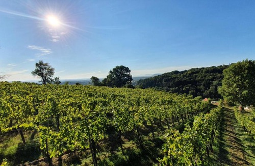Lang Apartamento | Weingut & Ferienwohnungen Lenhard