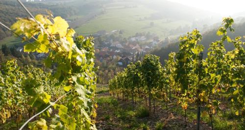 Auen Hotel | Weingut Hees - Landgasthof Zum Jäger aus Kurpfalz