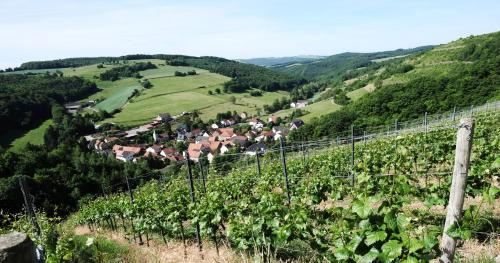 Auen Hotel | Weingut Hees - Landgasthof Zum Jäger aus Kurpfalz