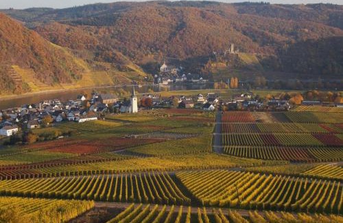 Ellenz Apartamento | Weingut im Moselkrampen