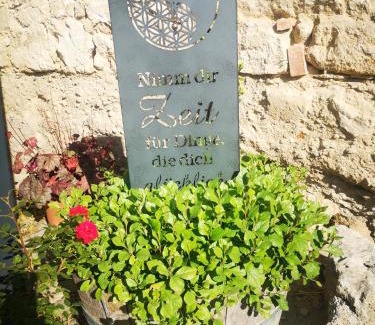 Eisenstadt Cama Y Desayuno | Weingut Lichtscheidl