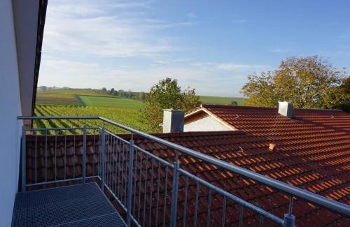 Lauffen am Neckar Apartamento | Weingut Schaaf