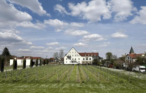 Mußbach Apartamento | WeinZeit13