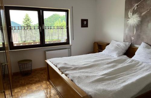 Amorbach Apartamento | Weitblick 1