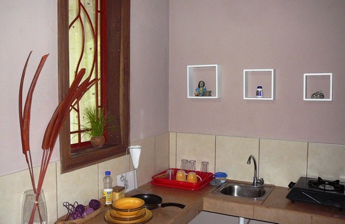 Cocles Apartamento | ¡Bienvenido a la jungla! Apartamentos elegantes con vistas a la jungla para amantes de la naturaleza