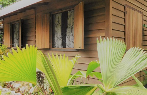 Cocles Apartamento | ¡Bienvenido a la jungla! Apartamentos elegantes con vistas a la jungla para amantes de la naturaleza