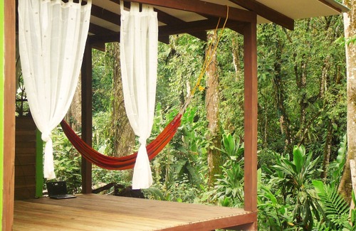 Cocles Apartamento | ¡Bienvenido a la jungla! Apartamentos elegantes con vistas a la jungla para amantes de la naturaleza