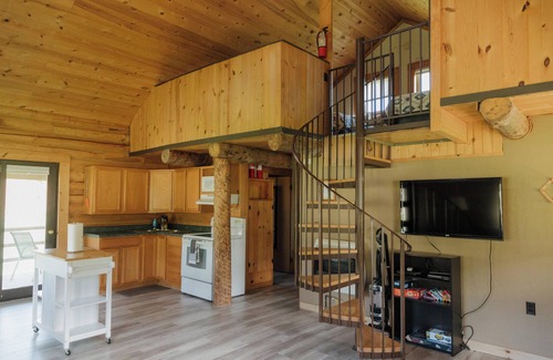 Hill City Cabina | Welcome to Canyon Wren!