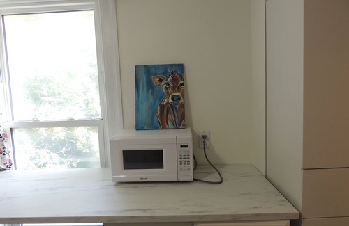 Woodstock Apartamento | Welcome to Cowtown! Homey open concept 2 bedroom apartment.