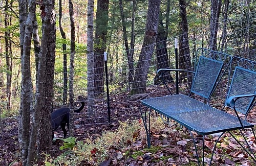 Blairsville Cabina | Welcome to Deer Ridge! Dog Friendly, 2 Bedroom and 2 Bath - sleeps 6.