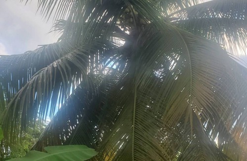 Old Harbour Casa | Welcome to our villa, enjoy the local vibes, AC, WIFI, hot water, cable.