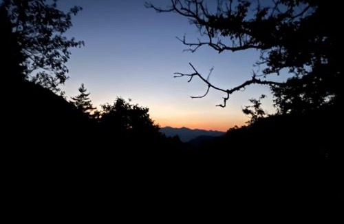 Likani Casa | Welcome to Tamara Cottage