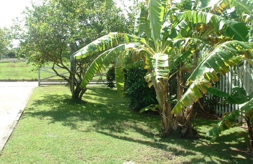 Holetown Cabaña | Bienvenido a su casa de vacaciones del Caribe, a minutos de la playa.