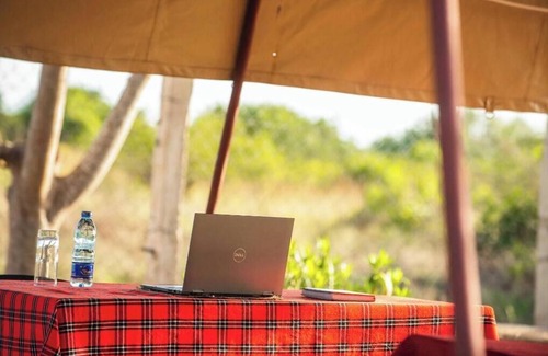 Saadani National Park Alquiler De RV | Welcoming 13-bedroom campground in Saadani National Park.
