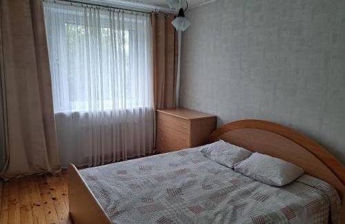 Anyksciai Apartamento | Welcoming apartment
