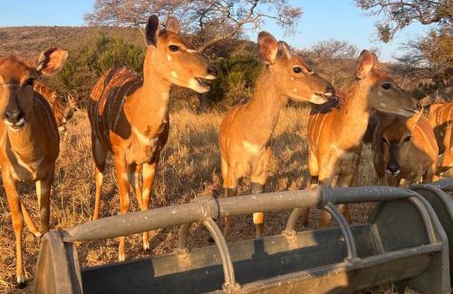 Cullinan Cabina | Welgedacht Lodge