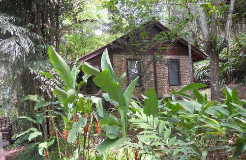 San Ignacio Casa | Garden Cottage bien equipado en el corazón de la jungla en Maya Hills.